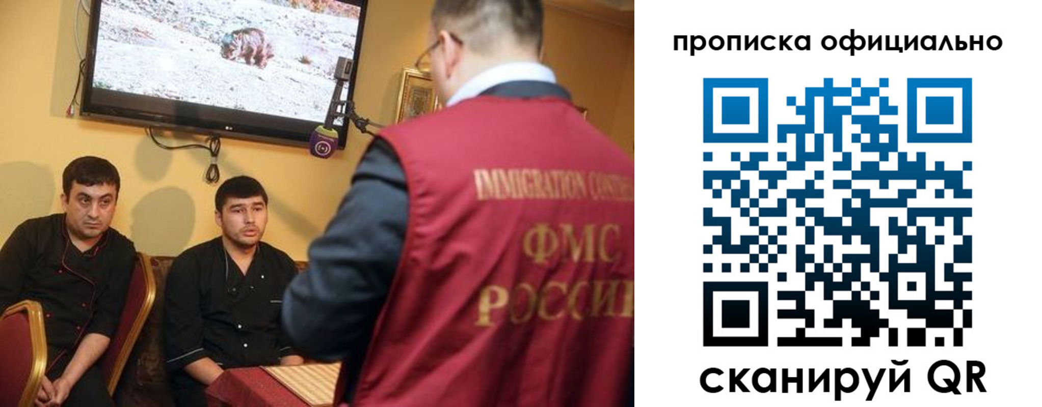 где прописаться в Щиграх